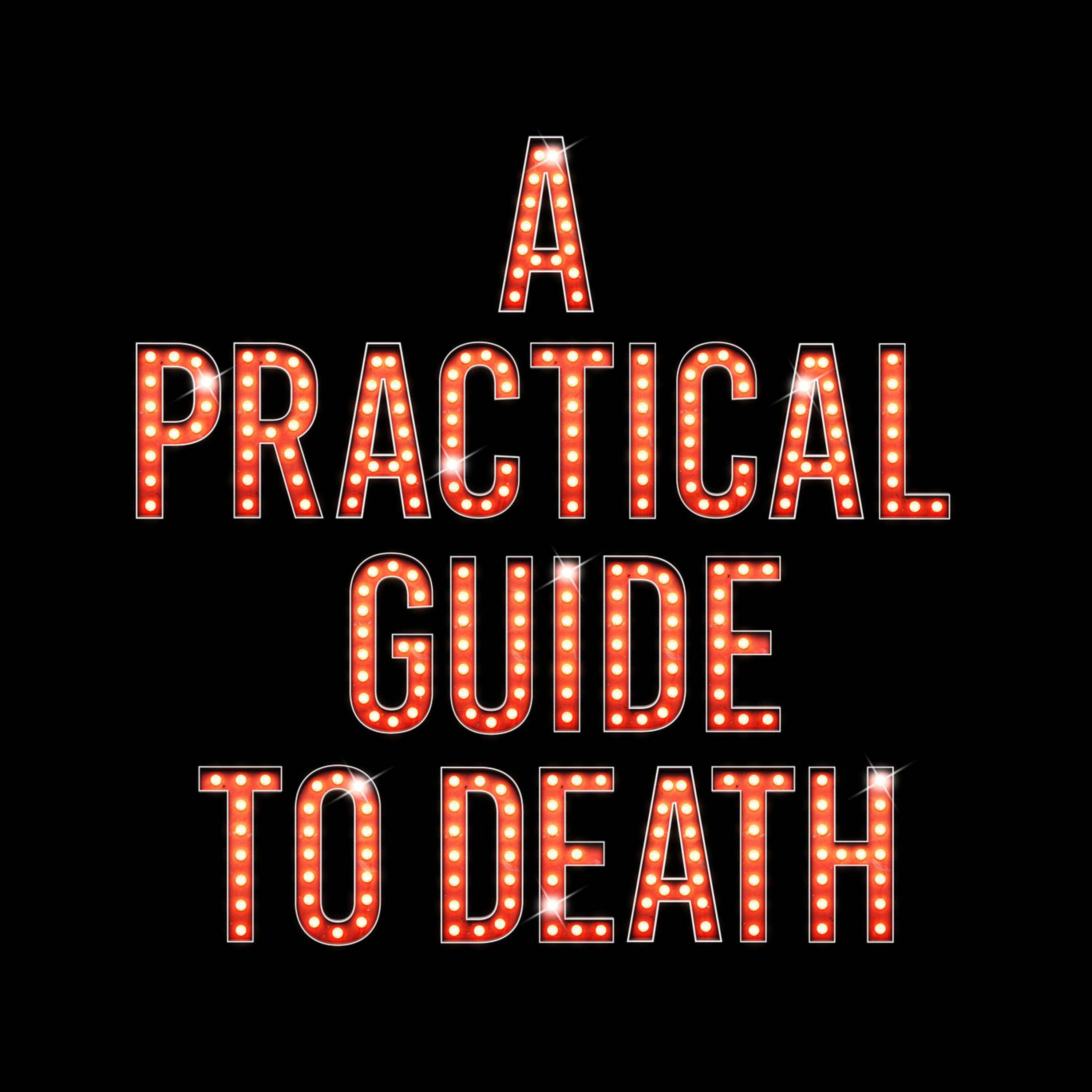 A Practical Guide to Death cover art
