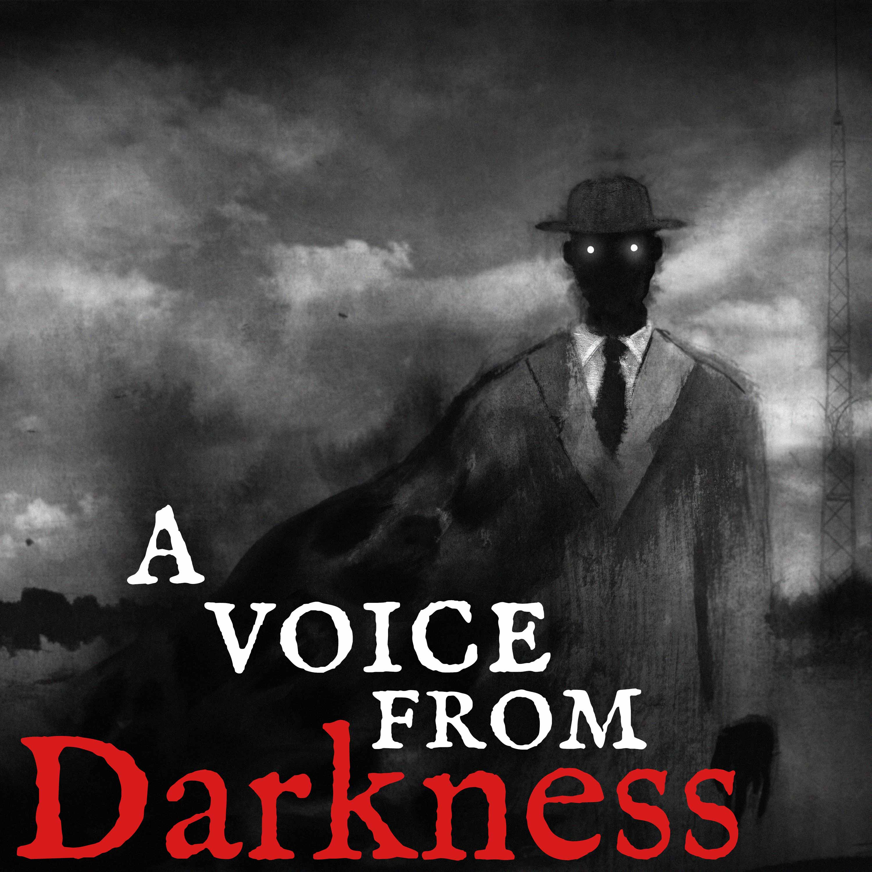 A Voice From Darkness cover art