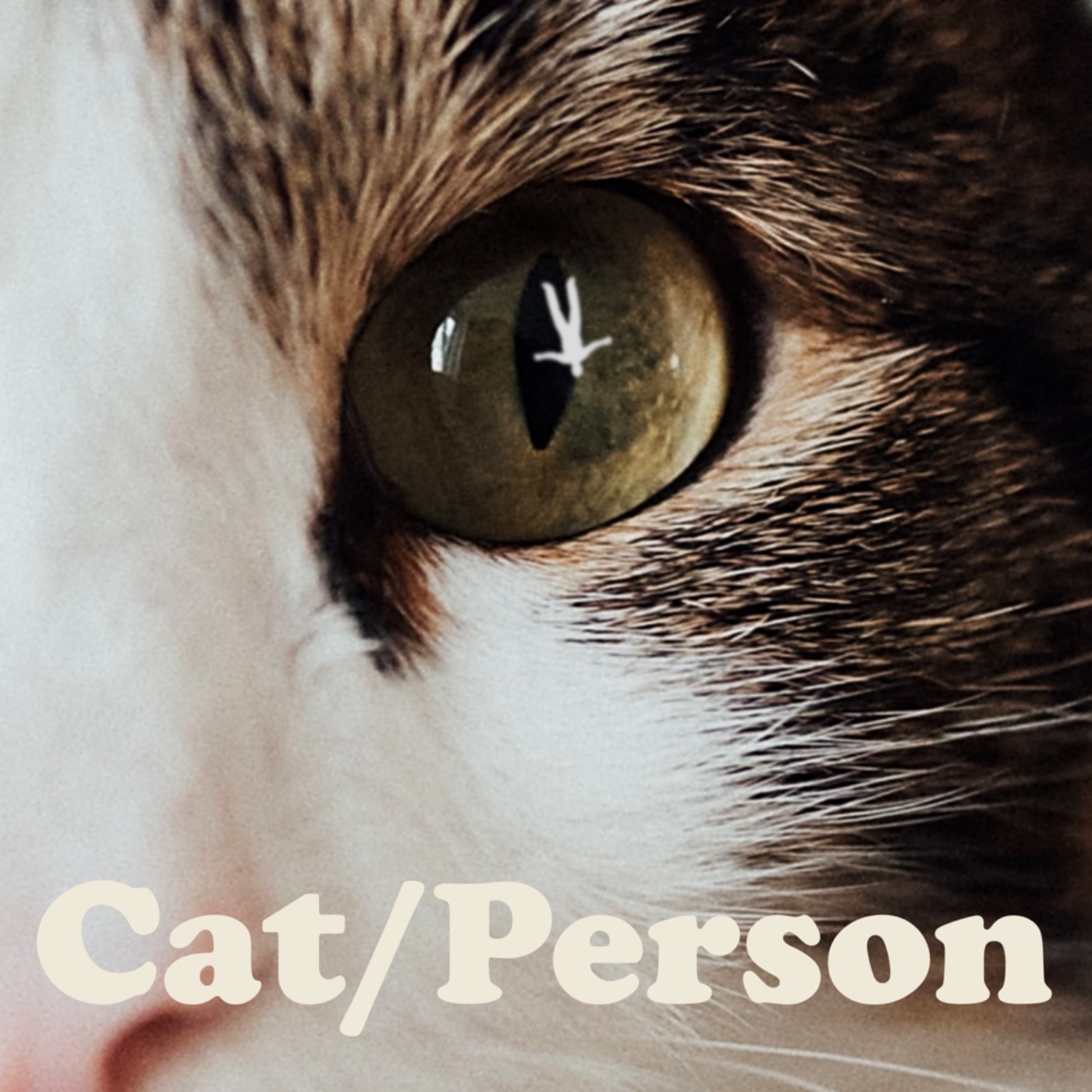 Cat/Person cover art