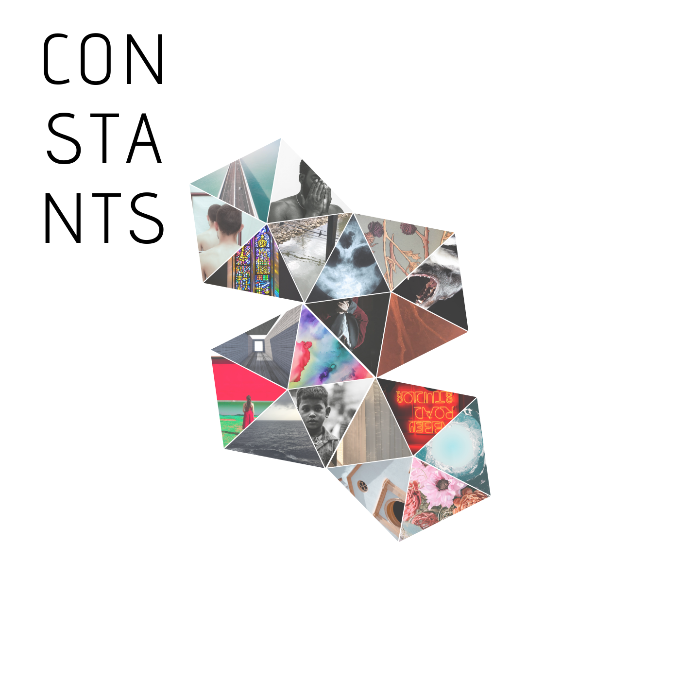 Constants cover art