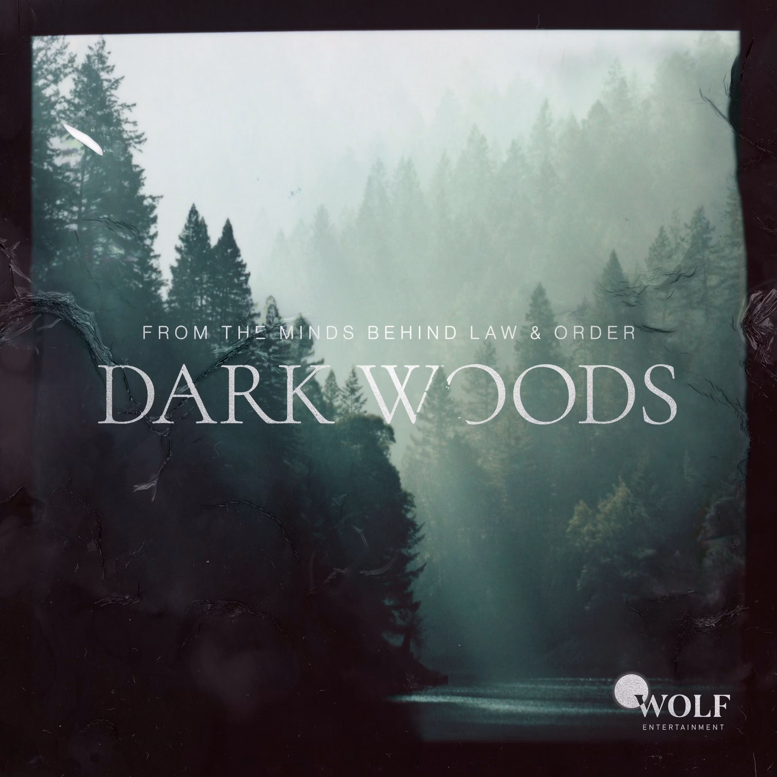 Dark Woods cover art