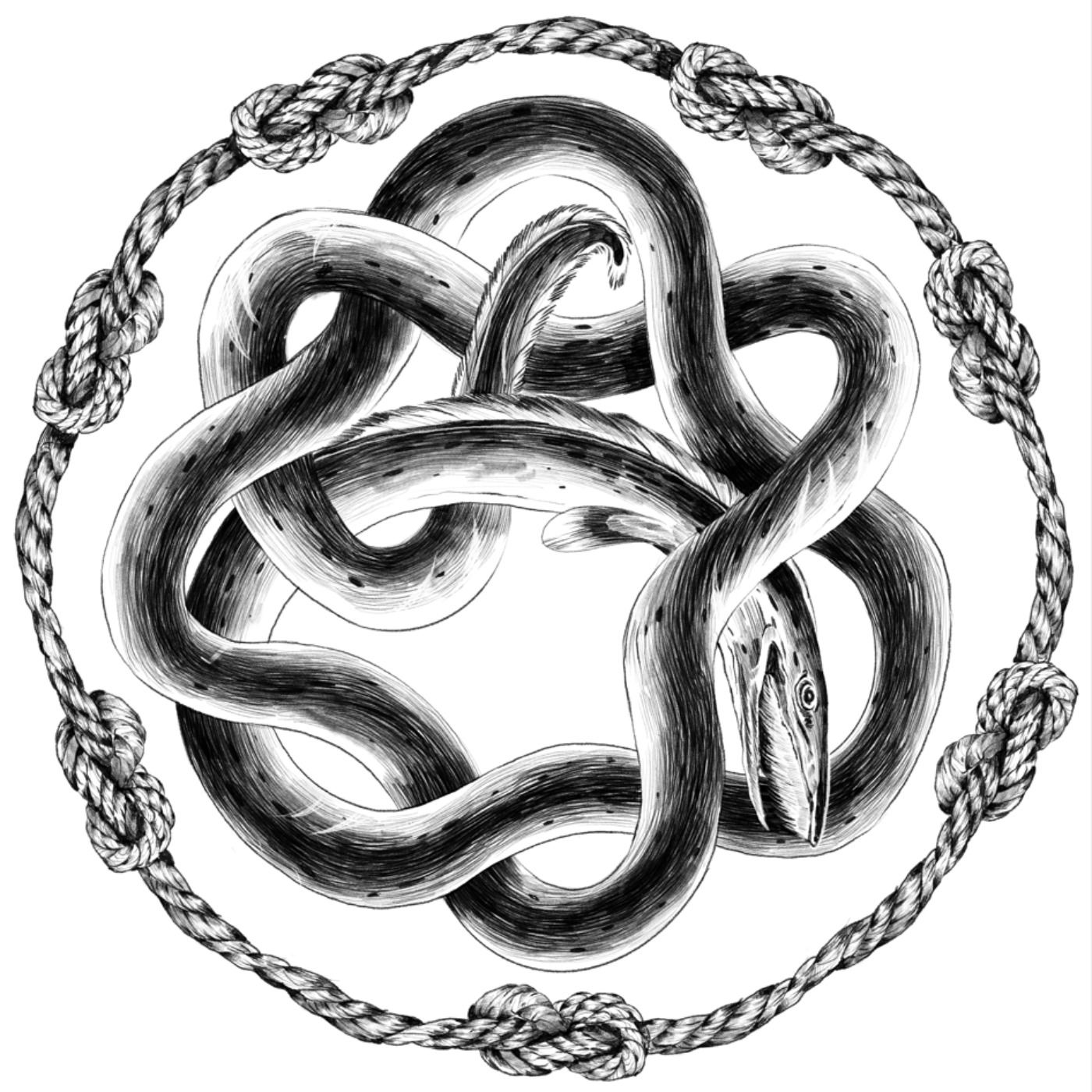 Eeler's Choice cover art