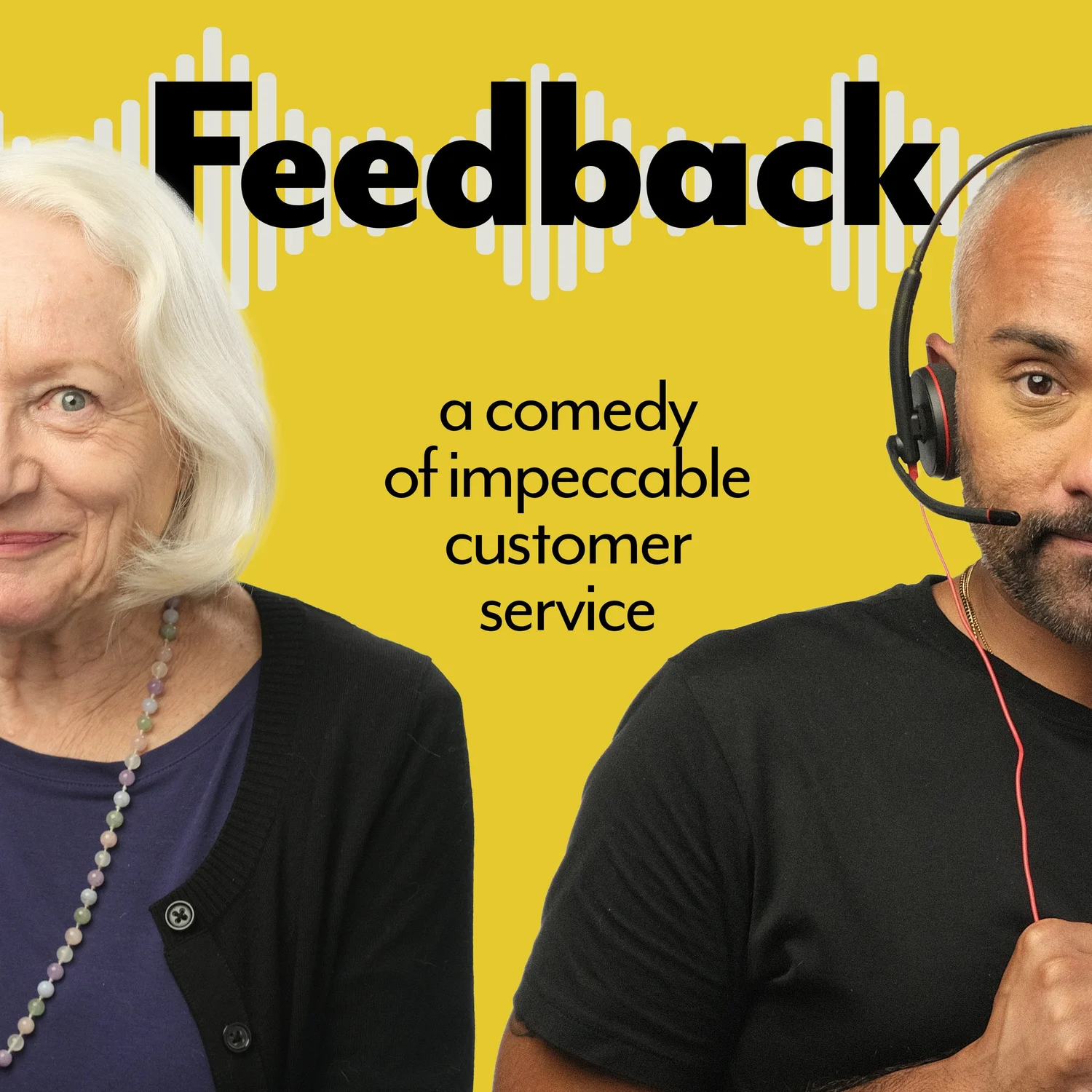 Feedback: a comedy of impeccable customer service cover art