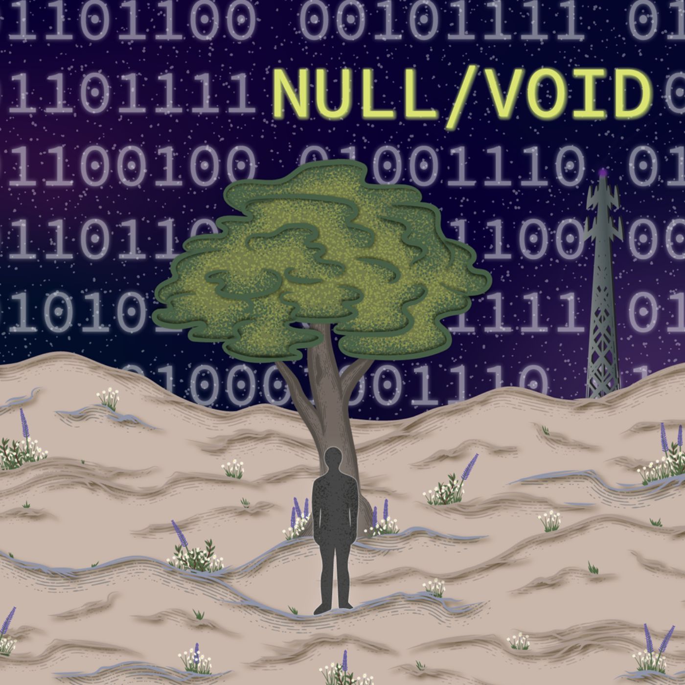 Null/Void cover art