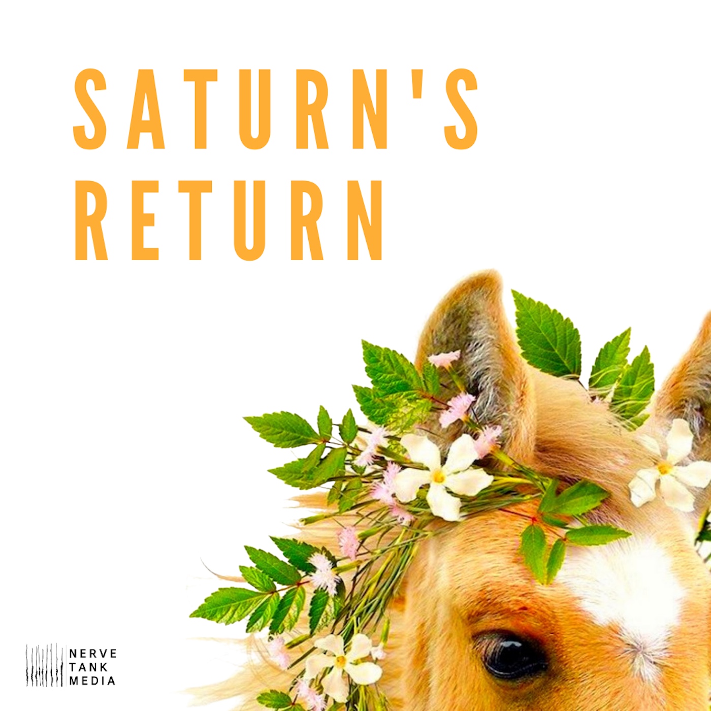 Saturn's Return cover art