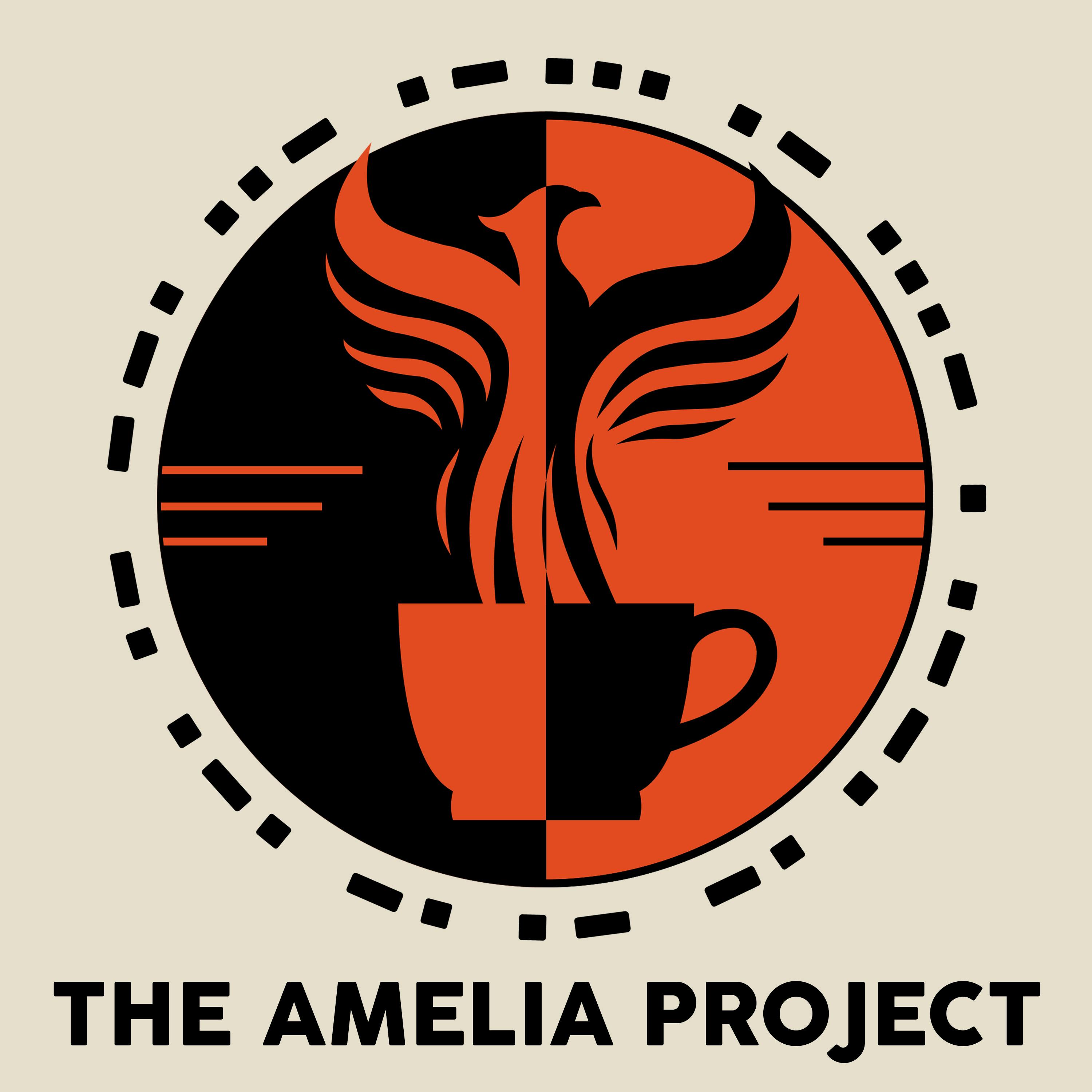 The Amelia Project cover art