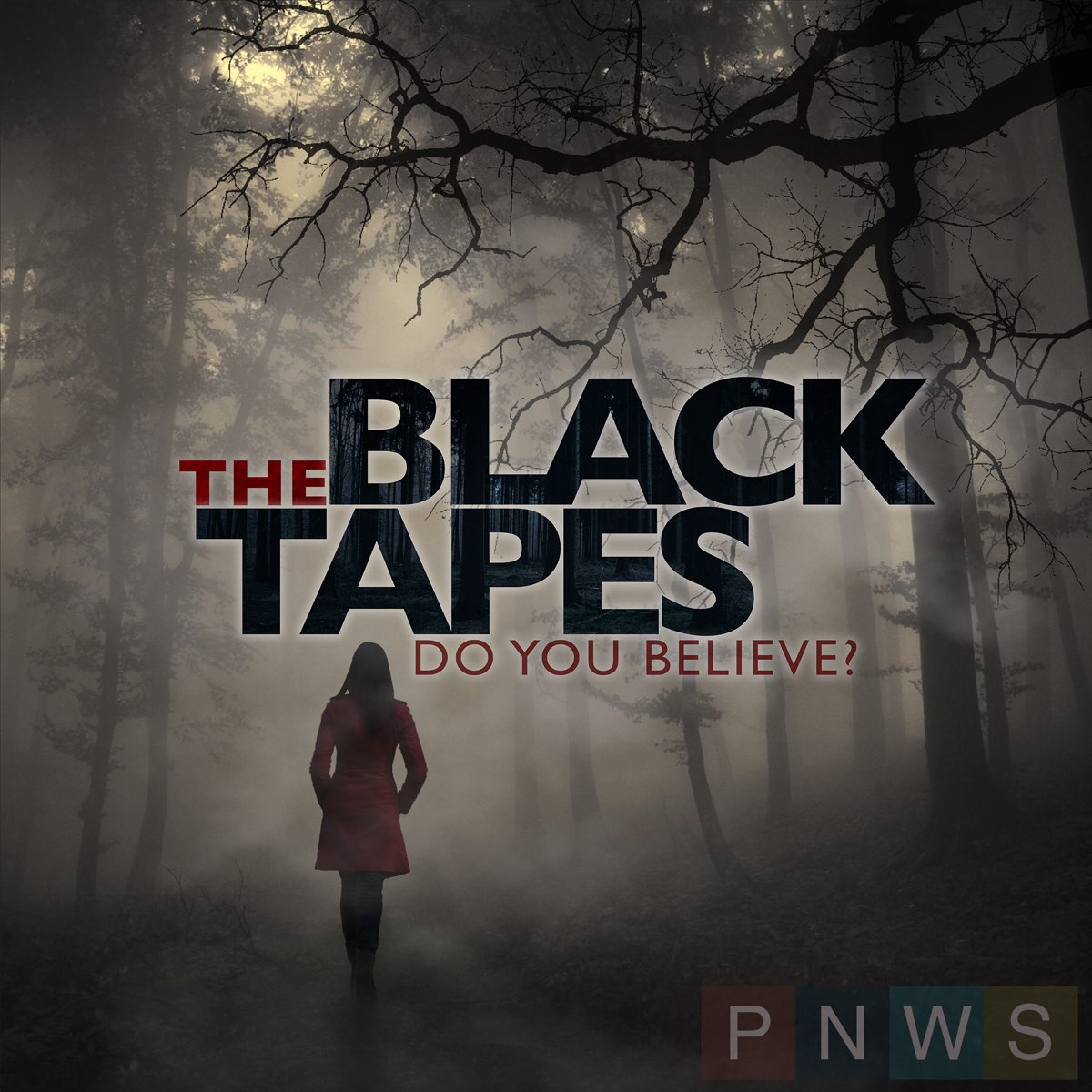 The Black Tapes cover art