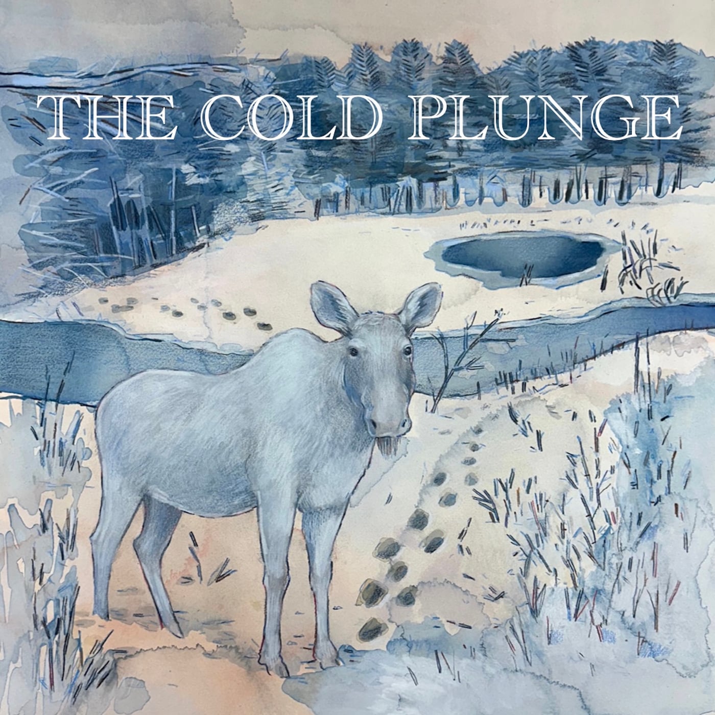 The Cold Plunge cover art