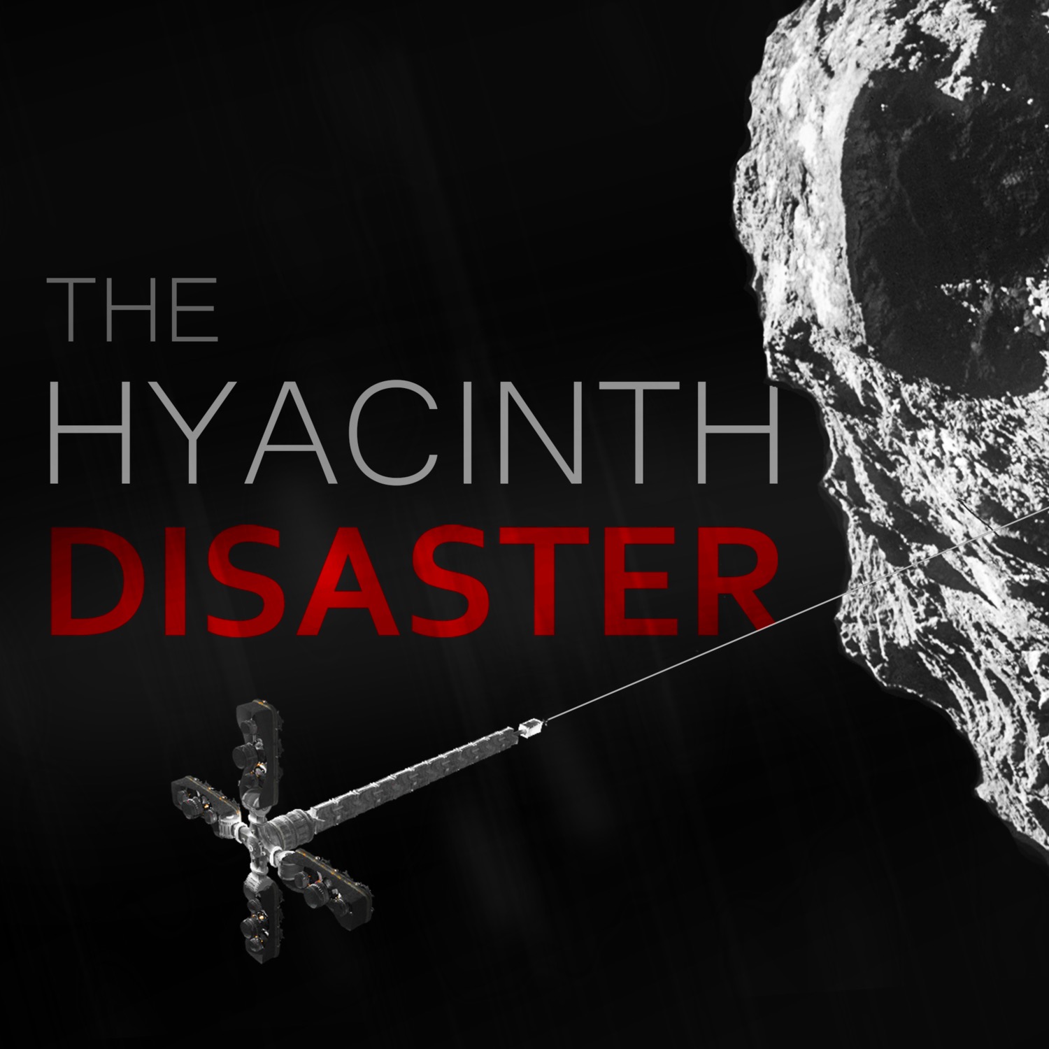 The Hyacinth Disaster cover art