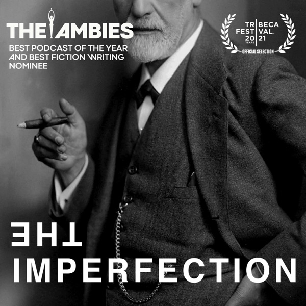 The Imperfection cover art