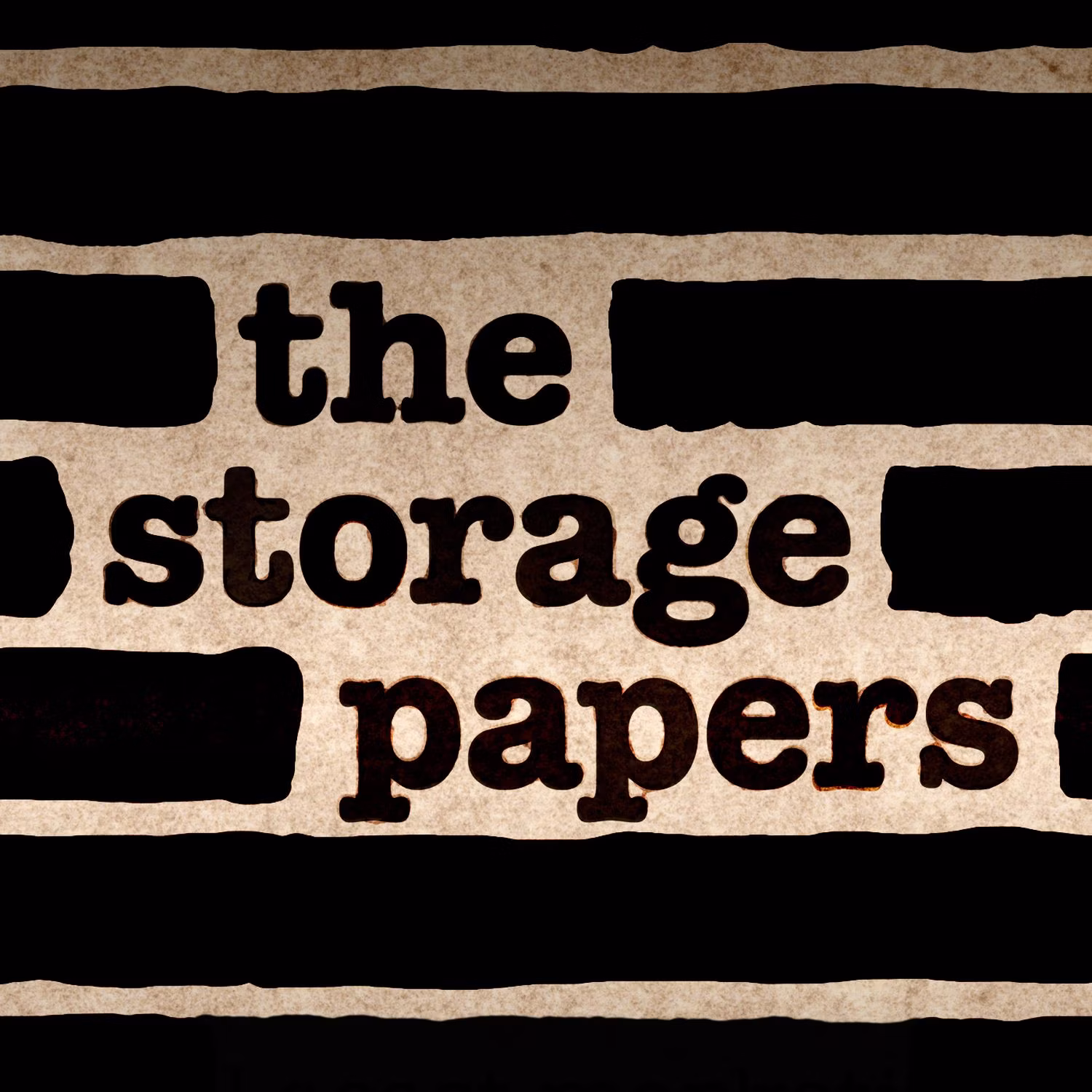 The Storage Papers cover art