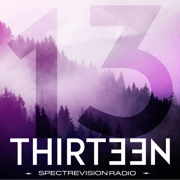 Thirteen cover art