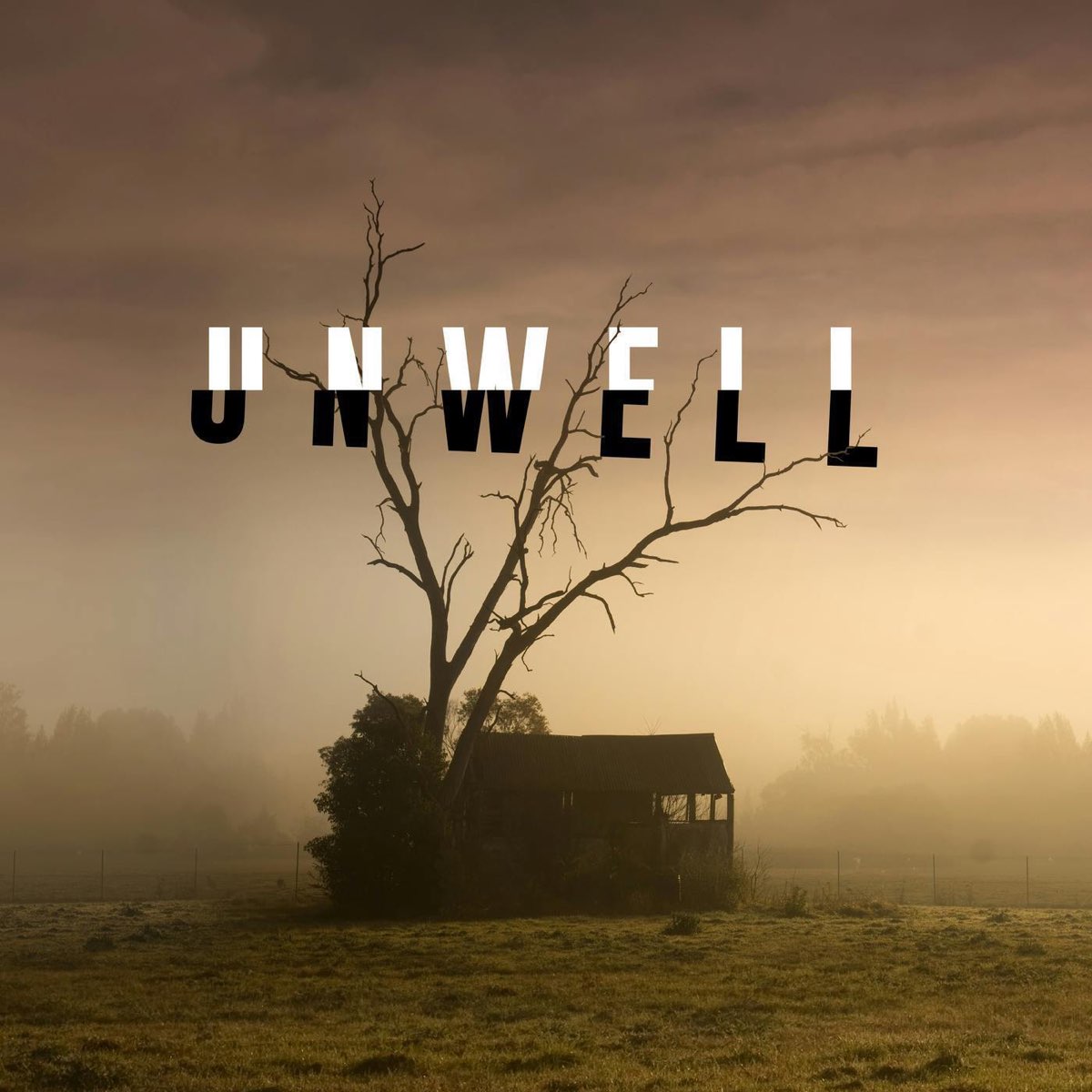 Unwell cover art