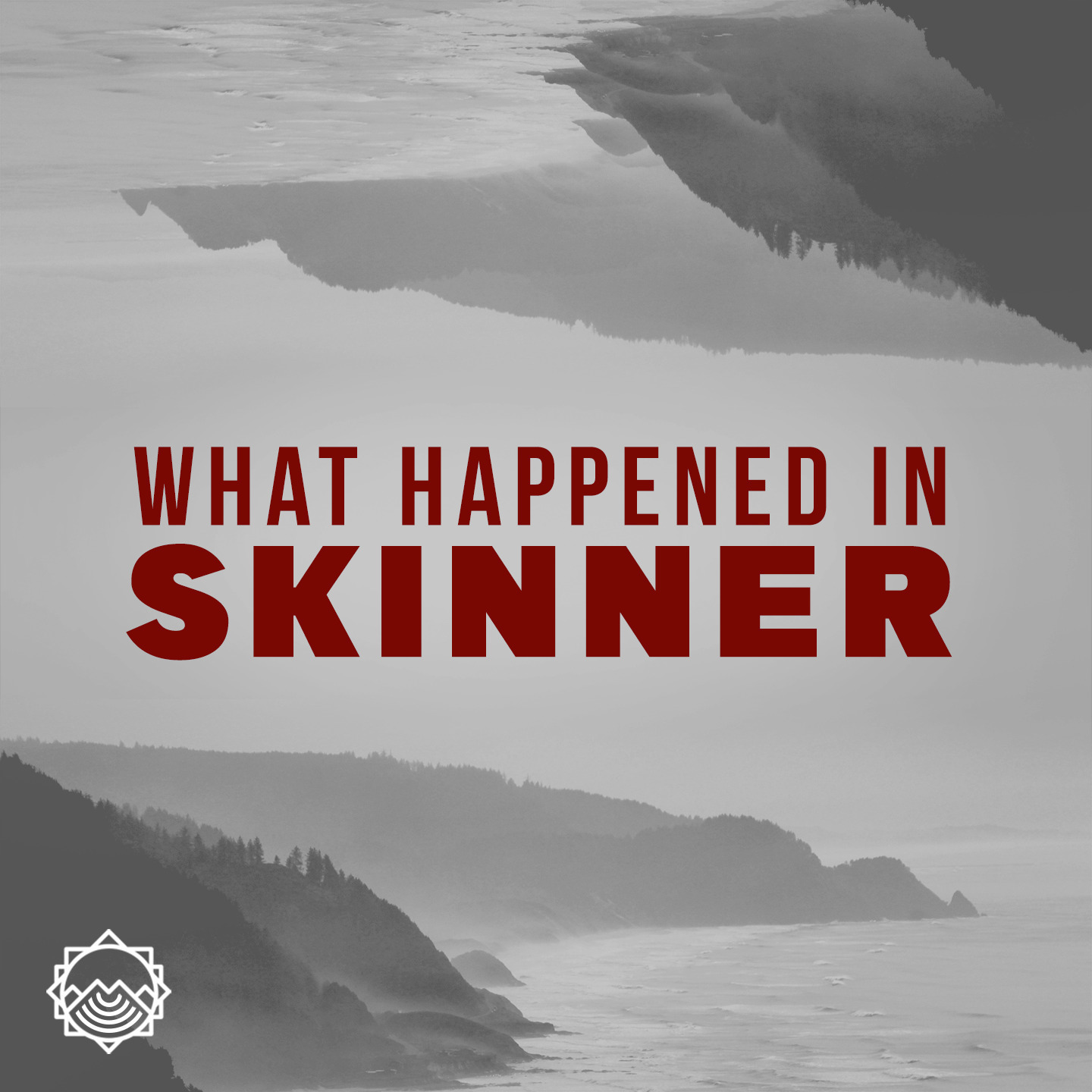 What Happened in Skinner cover art